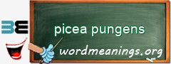 WordMeaning blackboard for picea pungens